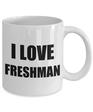 Load image into Gallery viewer, I Love Freshman Mug Funny Gift Idea Novelty Gag Coffee Tea Cup-Coffee Mug