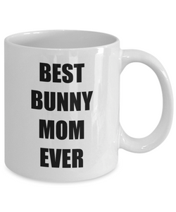 Bunny Mom Mug Funny Gift Idea for Novelty Gag Coffee Tea Cup-Coffee Mug
