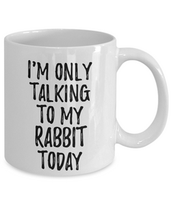 I Am Only Talking To My Rabbit Today Mug Funny Gift For Pet Lover Mom Dad Coffee Tea Cup-Coffee Mug