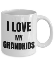 Load image into Gallery viewer, I Love My Grandkids Mug Funny Gift Idea Novelty Gag Coffee Tea Cup-Coffee Mug