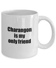 Load image into Gallery viewer, Funny Charangon Mug Is My Only Friend Quote Musician Gift for Instrument Player Coffee Tea Cup-Coffee Mug