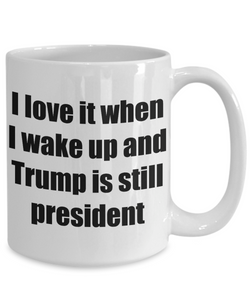 I Love It When I Wake Up And Trump Is Still President Mug Funny Gift Idea Novelty Gag Coffee Tea Cup-[style]