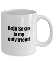 Load image into Gallery viewer, Funny Bajo Sexto Mug Is My Only Friend Quote Musician Gift for Instrument Player Coffee Tea Cup-Coffee Mug