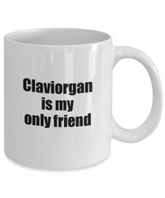 Load image into Gallery viewer, Funny Claviorgan Mug Is My Only Friend Quote Musician Gift for Instrument Player Coffee Tea Cup-Coffee Mug
