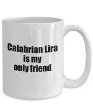 Load image into Gallery viewer, Funny Calabrian Lira Mug Is My Only Friend Quote Musician Gift for Instrument Player Coffee Tea Cup-Coffee Mug