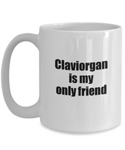 Load image into Gallery viewer, Funny Claviorgan Mug Is My Only Friend Quote Musician Gift for Instrument Player Coffee Tea Cup-Coffee Mug