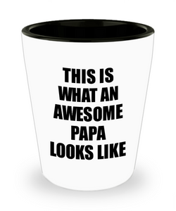 Awesome Papa Shot Glass Funny Gift Idea For My Dad Looks Like Novelty Gag Liquor Lover Alcohol 1.5 oz Shotglass-Shot Glass