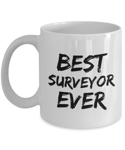 Surveyor Mug Best Survey Ever Funny Gift for Coworkers Novelty Gag Coffee Tea Cup-Coffee Mug
