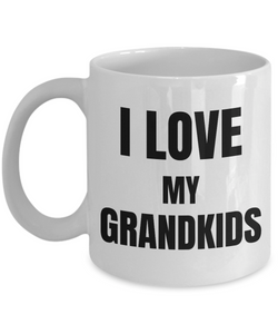 I Love My Grandkids Mug Funny Gift Idea Novelty Gag Coffee Tea Cup-Coffee Mug