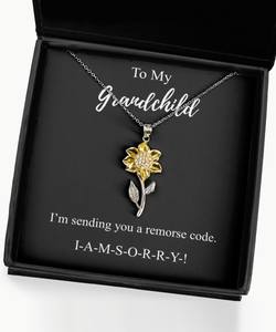 I'm Sorry Grandchild Necklace Funny Apologize Gift Sending You A Remorse Code Witty Pun Pendant Gag Sterling Silver Chain With Box-Precious Jewelry
