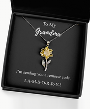 Load image into Gallery viewer, I&#39;m Sorry Grandma Necklace Funny Apologize Gift Sending You A Remorse Code Witty Pun Pendant Gag Sterling Silver Chain With Box-Precious Jewelry