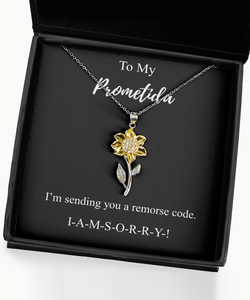 I'm Sorry Prometida Necklace Funny Apologize Gift Sending You A Remorse Code Witty Pun Pendant Gag Sterling Silver Chain With Box-Precious Jewelry