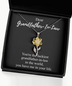 Luckiest Grandfather-In-Law Necklace Funny Gift Idea In The World You Have Me Sarcastic Pun Pendant Gag Sterling Silver Chain With Box-Precious Jewelry